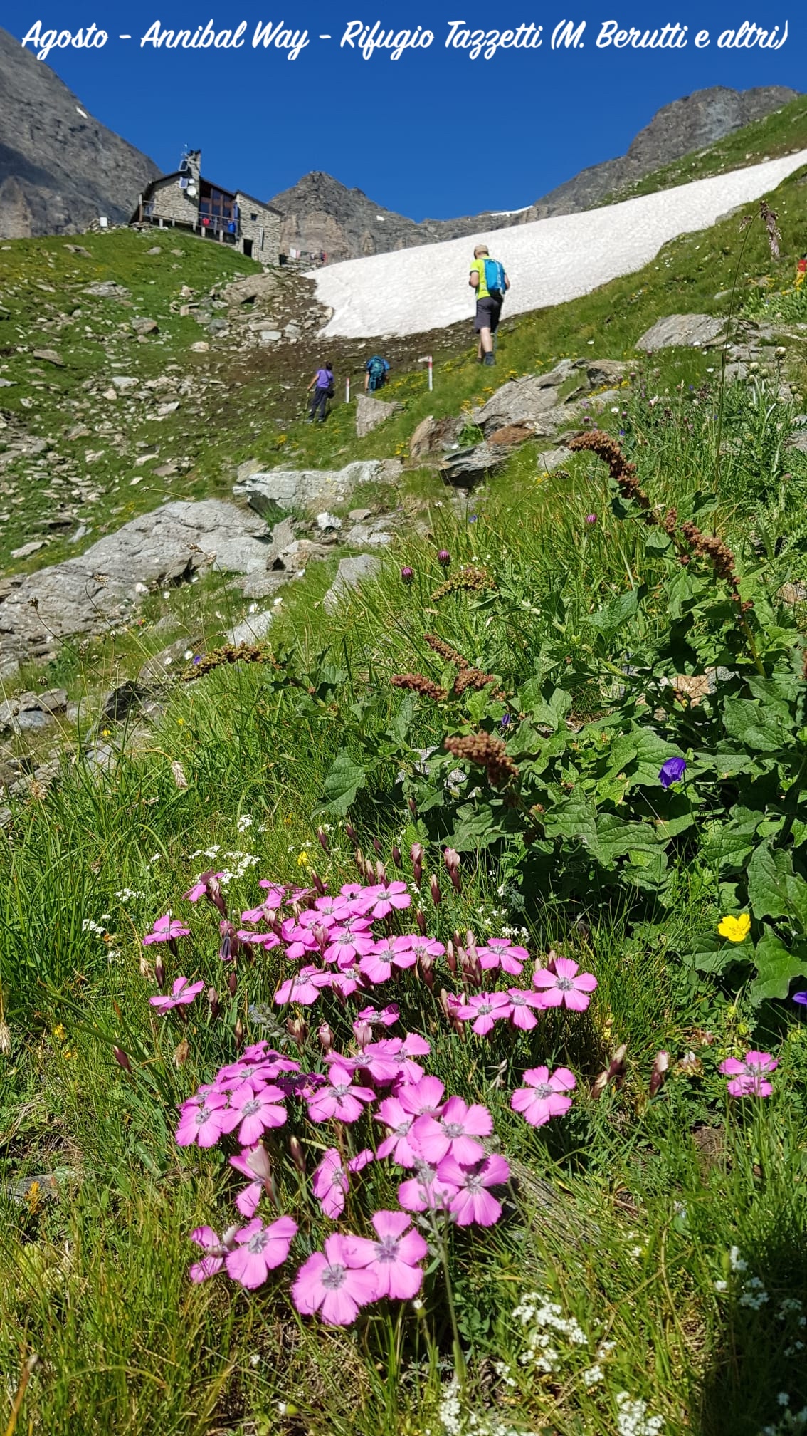 2408_02 Tazzetti MBerutti 2.jpeg